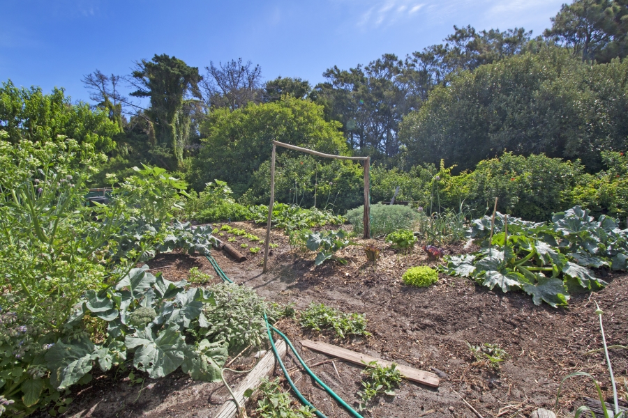 4 Bedroom Property for Sale in Meadowsteads Western Cape